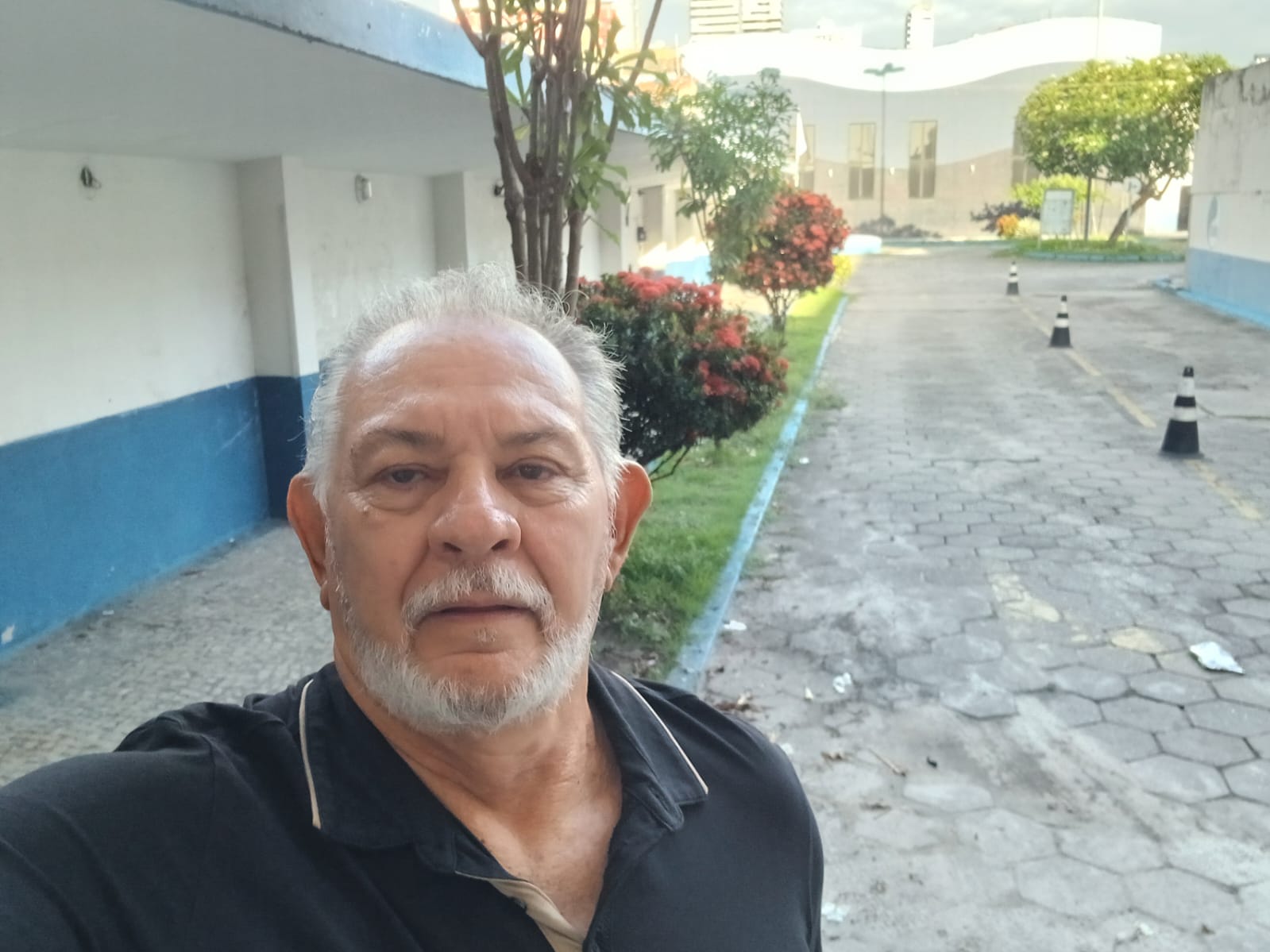 Alfredo Sena - Diretor